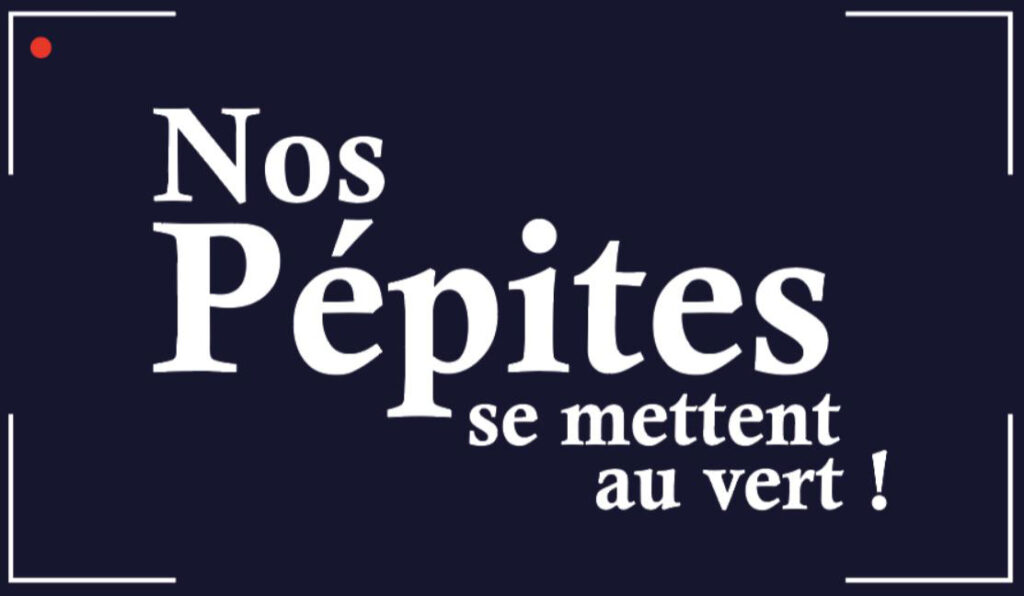 Pépites IRD 2024